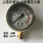 上海天湖 耐震压力表 YN-60 0-60MPA M14*1.5(个)