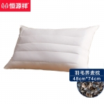 恒源祥 家纺床上用品舒适颈椎枕头芯羽毛荞麦枕芯单个白色 48*74cm